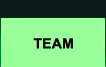 Team Button